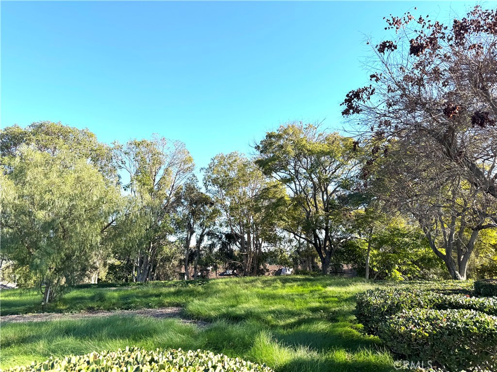 MLS #PW25273327 image #33