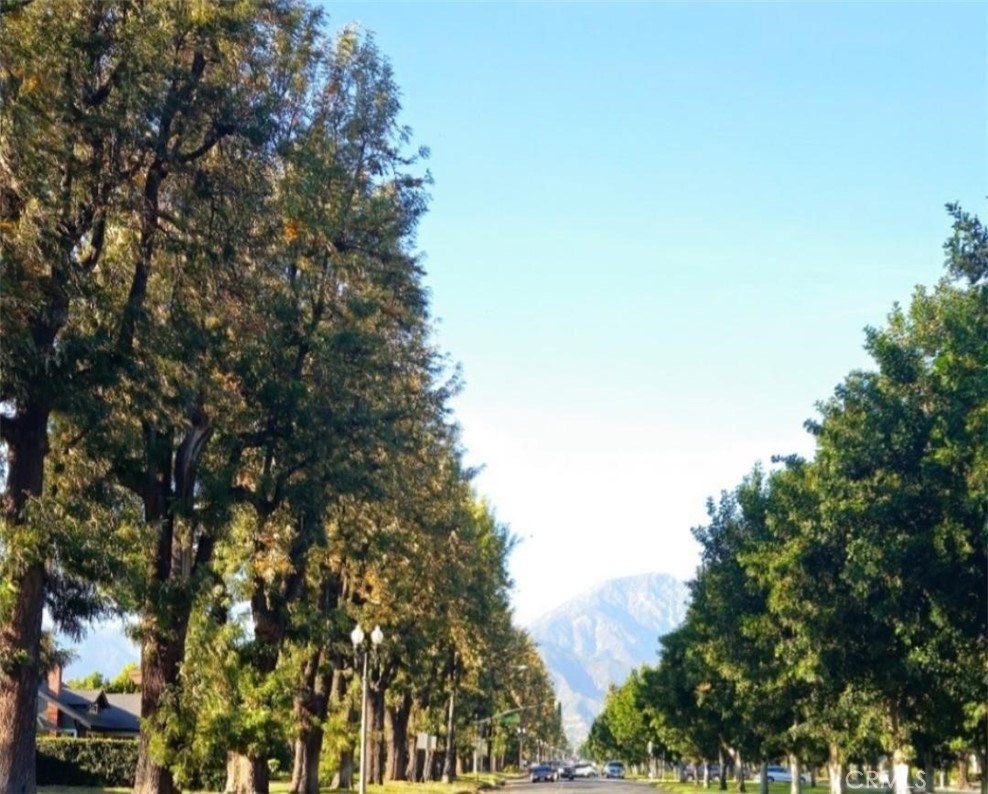 https://media.crmls.org/medias/e5adf014-7e30-452c-821d-806f96f3bb7b.jpg?preset=X-Large