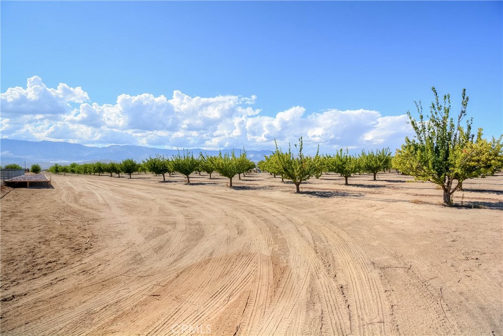 https://media.crmls.org/medias/e5b207e3-ab8a-45e4-904f-b875fa08492f.jpg?preset=X-Large
