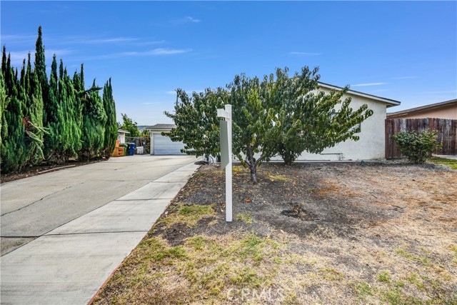 Front Image Thumbnail for CRWS25223766