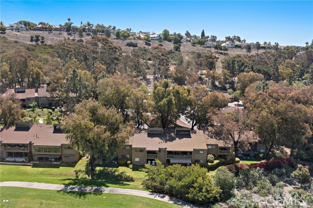 31313 E Nine Drive, Laguna Niguel CA: https://media.crmls.org/medias/e5b3c449-9d0b-4680-b949-c50330a2fcd2.jpg