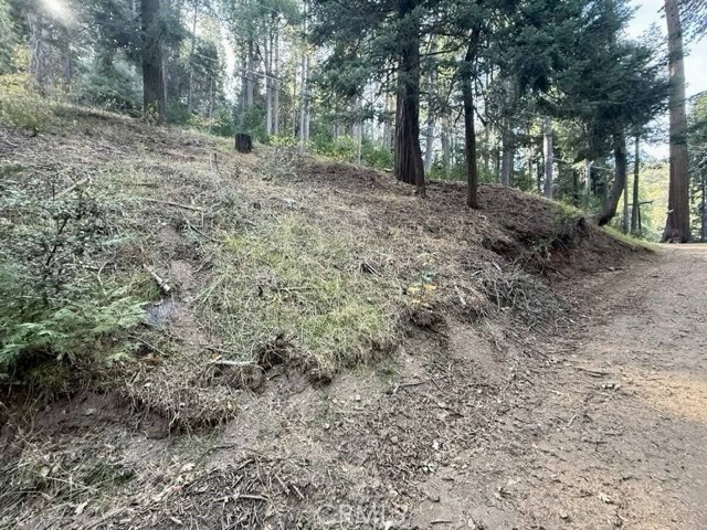 0 Burnt Mill Canyon Road, Cedarpines Park CA: https://media.crmls.org/medias/e5b424b9-d35a-4689-b578-f1fc025906e7.jpg