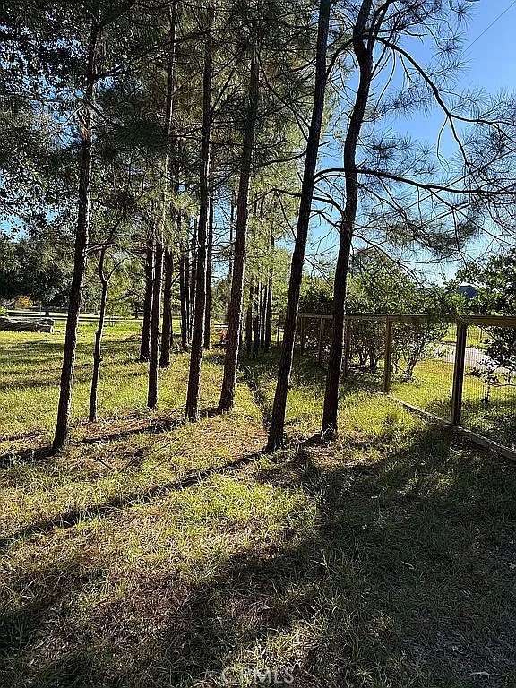 Detail Gallery Image 9 of 13 For 26430 Clyde Blount Rd, –,  LA 70754 - – Beds | – Baths