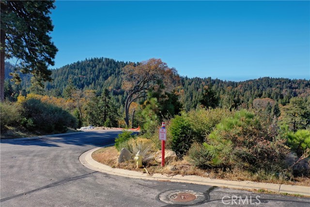 202 Hidden Forest Road, Lake Arrowhead, California 92352, ,Land,For Sale,202 Hidden Forest Road,CREV23214554