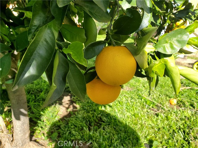 Detail Gallery Image 27 of 27 For 1192 Cherry Lane, Calimesa,  CA 92320 - 3 Beds | 2 Baths