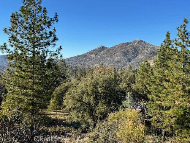 Detail Gallery Image 33 of 33 For 5830 Half Dome, Mariposa,  CA 95338 - 3 Beds | 2 Baths