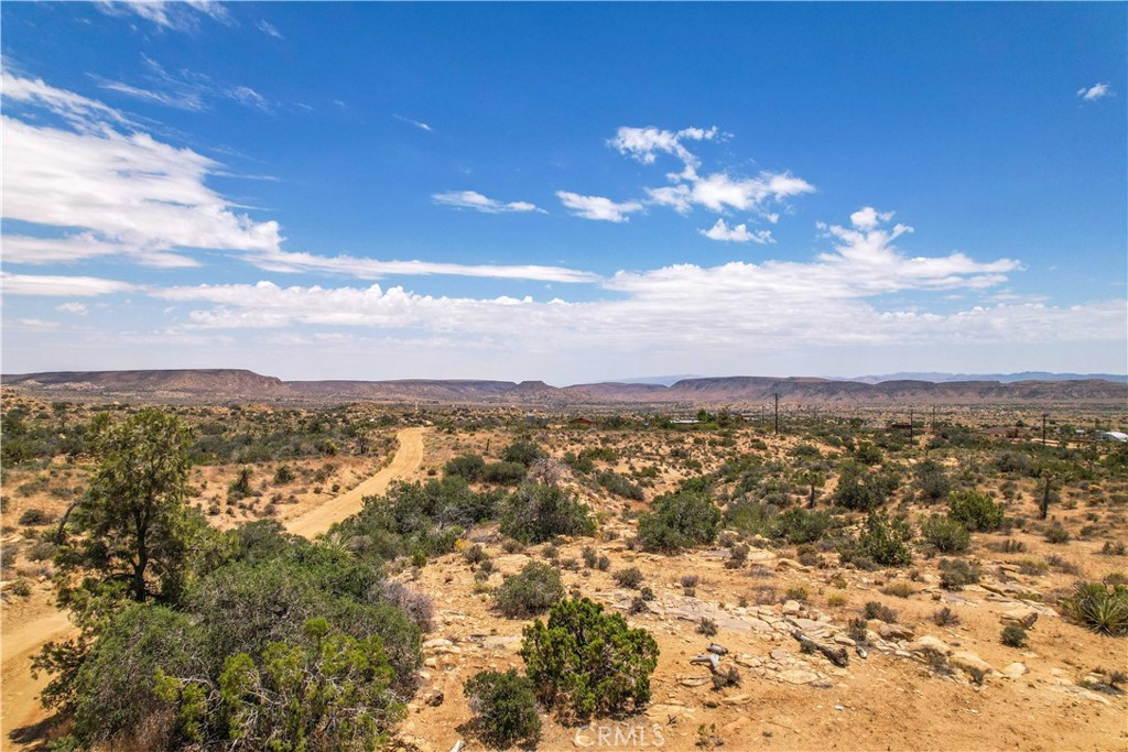 MLS #JT25246603 image #15