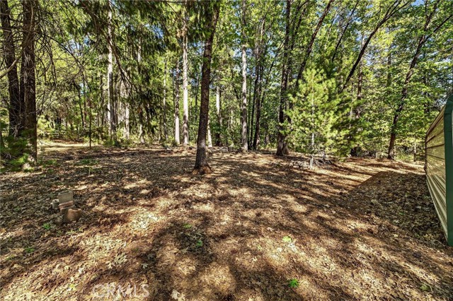 Detail Gallery Image 59 of 75 For 10202 Cohasset Rd, Chico,  CA 95973 - 3 Beds | 2 Baths