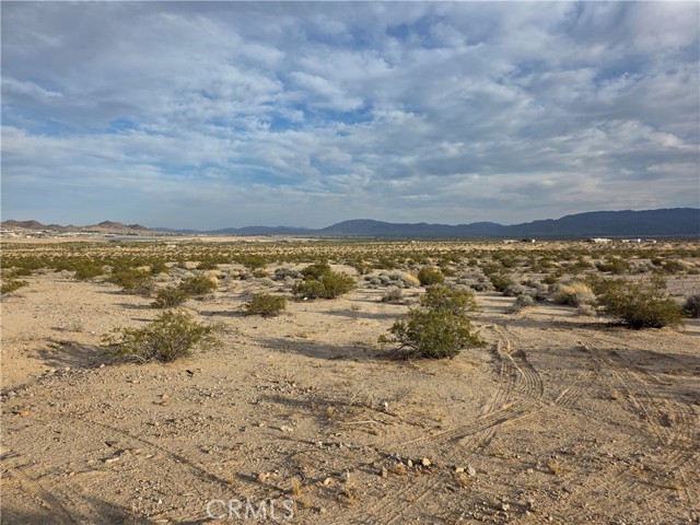 Detail Gallery Image 2 of 7 For 0 Brant Xing Rd, Twentynine Palms,  CA 92277 - – Beds | – Baths