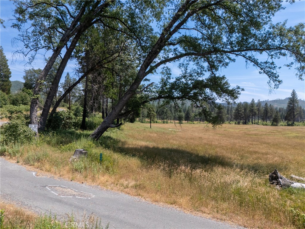 MLS #SN25260902 image #14