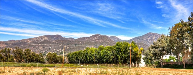 Detail Gallery Image 26 of 54 For 21 Silktassel, Rancho Santa Margarita,  CA 92688 - 1 Beds | 1 Baths