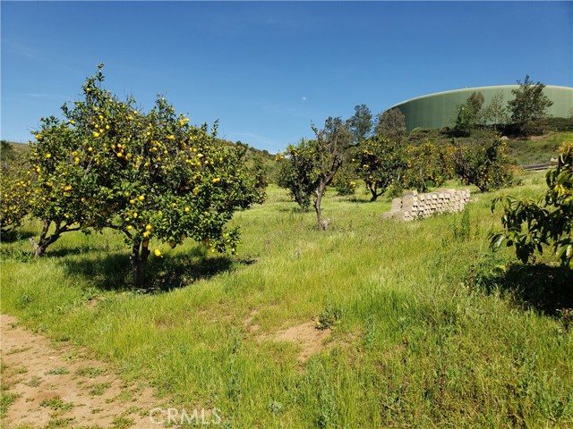 Detail Gallery Image 23 of 39 For 12 Carancho Rd, Temecula,  CA 92590 - – Beds | – Baths