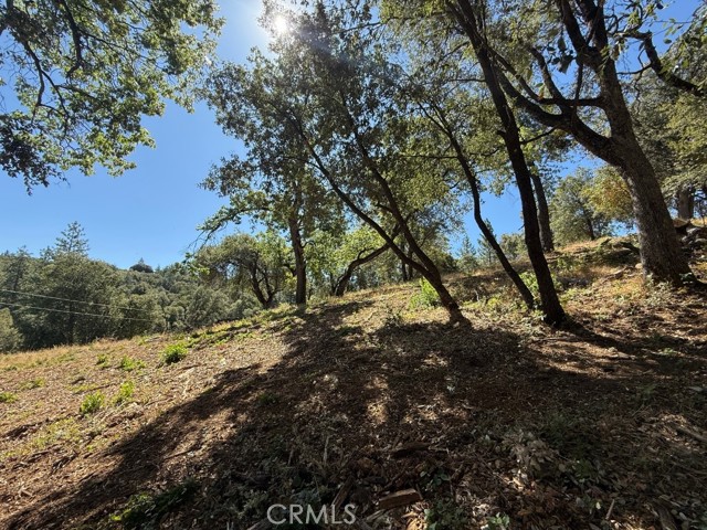 5710 Clouds Rst, Mariposa CA: https://media.crmls.org/medias/e5e3122a-7ca7-499c-80e8-746a4f65e1f4.jpg