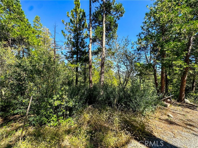 27530 N Bay, Lake Arrowhead, CA, 92352 27530 N Bay, Lake Arrowhead, CA, 92352