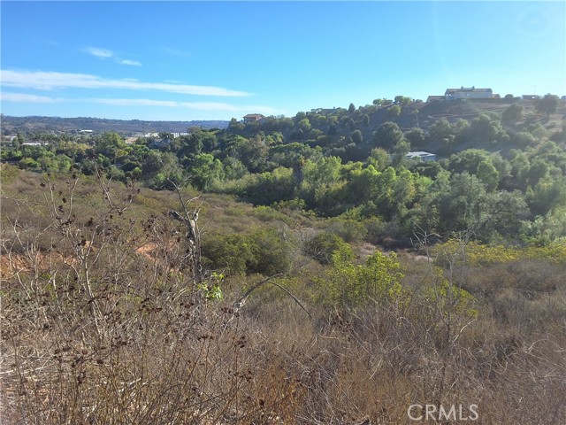 Detail Gallery Image 11 of 25 For 0 via Puerta Del Sol, Bonsall,  CA 92003 - – Beds | – Baths