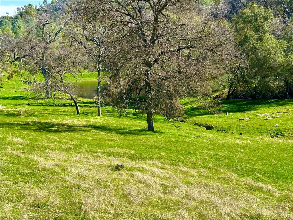 https://media.crmls.org/medias/e5ed86db-3300-4ce2-9979-68147191a873.jpg?preset=X-Large