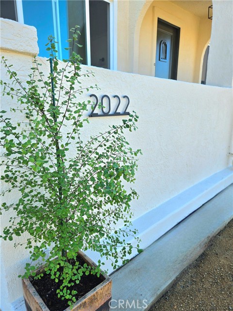 Front Image Thumbnail for CRSB25243933