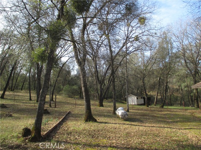 15 Hide A Way Road, Oroville CA: https://media.crmls.org/medias/e5fedbdd-0462-4c7c-bd9c-a852db32742b.jpg