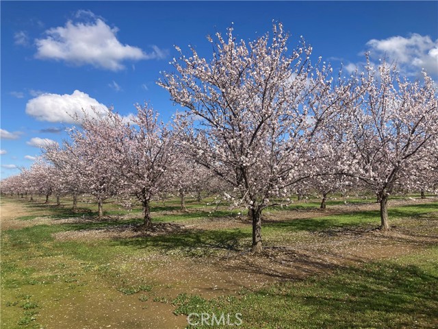 Detail Gallery Image 27 of 27 For 24751 South Ave, Corning,  CA 96021 - 2 Beds | 1 Baths