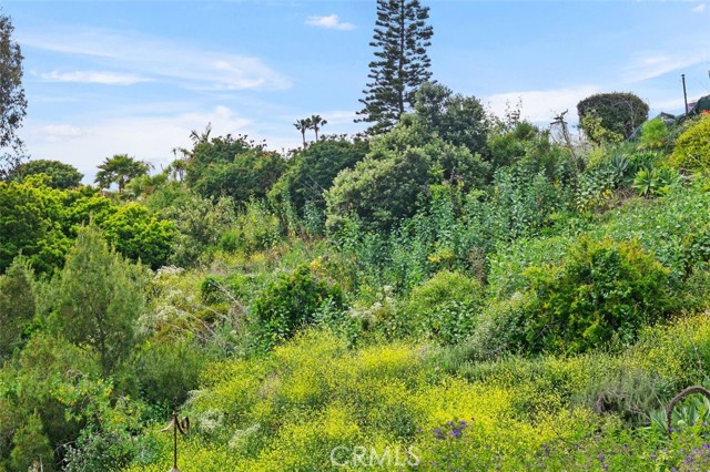 Detail Gallery Image 36 of 53 For 33661 Windham Dr, Dana Point,  CA 92629 - 3 Beds | 2/1 Baths