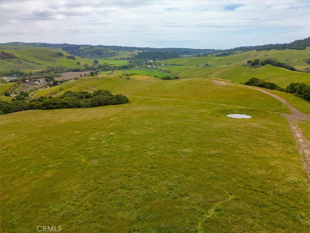 MLS #PI25041316 image #17