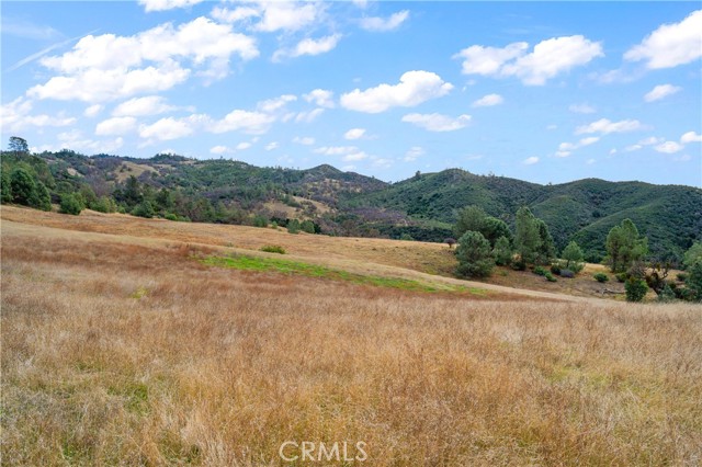 Detail Gallery Image 29 of 49 For 9000 Figueroa Mountain Rd, Los Olivos,  CA 93441 - 2 Beds | 1 Baths