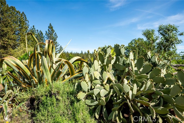 Image 38 of 50 For 4620 Wendlis Road