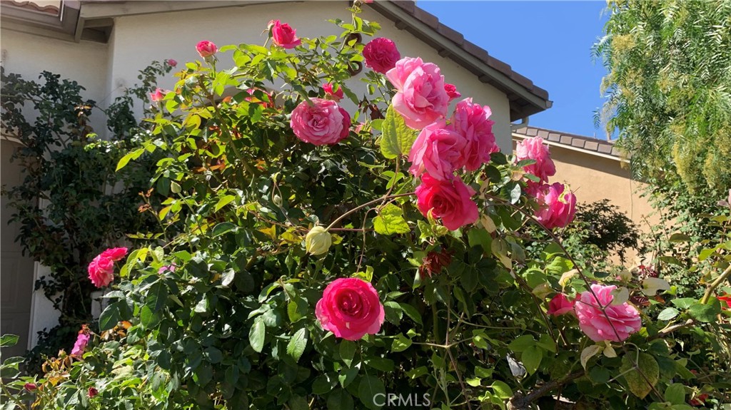 https://media.crmls.org/medias/e6211310-4ff2-4991-962f-21ca48f70eb1.jpg?preset=X-Large