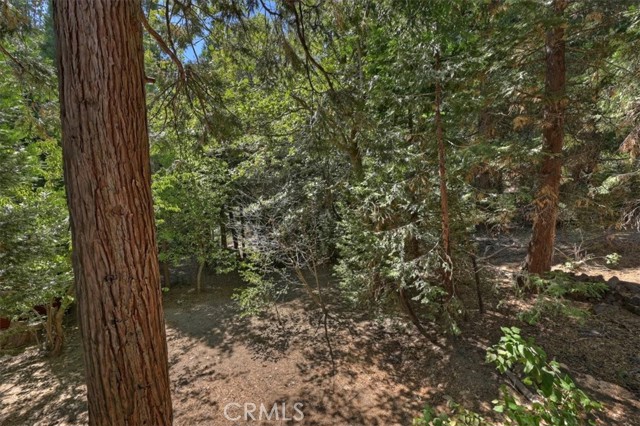 1150 Bear Springs, Rimforest, CA 92378