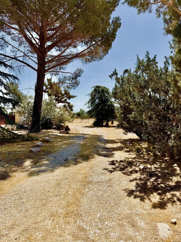 https://media.crmls.org/medias/e62c9ab0-94a8-495d-a9e7-1a03f3607a18.jpg?preset=X-Large