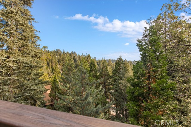 Detail Gallery Image 41 of 41 For 386 Rainier Rd, Lake Arrowhead,  CA 92352 - 4 Beds | 3/1 Baths