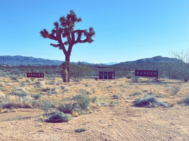 Detail Gallery Image 58 of 74 For 2953 Border Ave, Joshua Tree,  CA 92252 - 3 Beds | 2 Baths