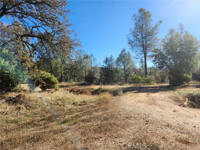 Detail Gallery Image 6 of 32 For 14444 Labadie, Dobbins,  CA 95935 - – Beds | – Baths