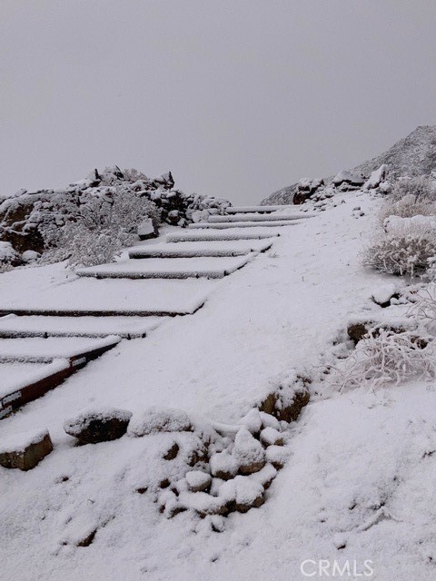 MLS #JT24225370 image #66