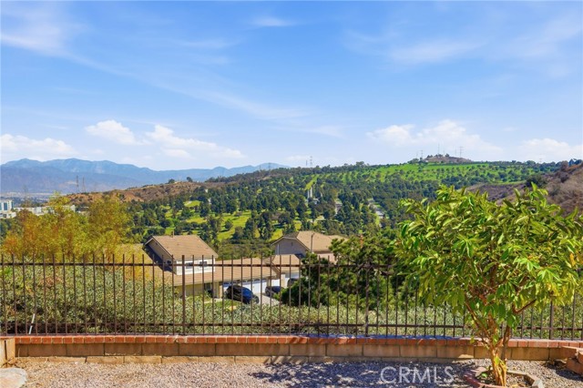 11739 Rancho Verde Drive photo 45
