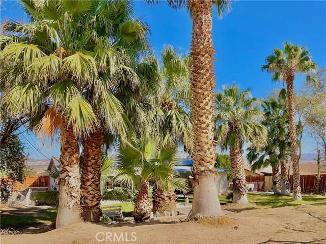 Detail Gallery Image 29 of 33 For 73819 Homestead Dr, Twentynine Palms,  CA 92277 - 3 Beds | 2 Baths