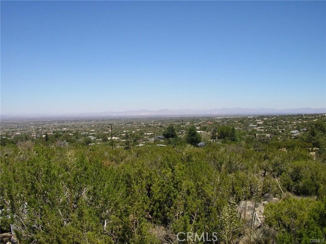 Detail Gallery Image 5 of 5 For 375 Canyon Rd, Pinon Hills,  CA 92372 - 2 Beds | 2 Baths