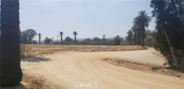 1246 Washington Street, Riverside, California 92506, ,Commercial Lease,For Rent,1246 Washington Street,CRAR24040255