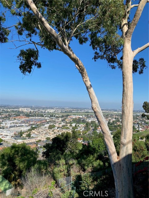 4317 Paseo De Las Tortugas, Torrance, CA, 90505 4317 Paseo De Las Tortugas, Torrance, CA, 90505