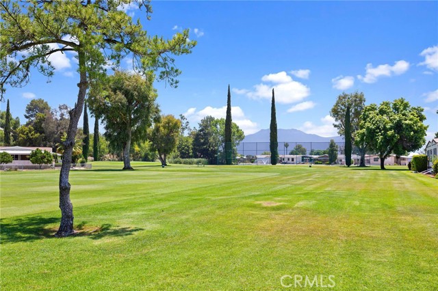 Detail Gallery Image 38 of 43 For 5001 W Florida Ave #545,  Hemet,  CA 92545 - 2 Beds | 2 Baths