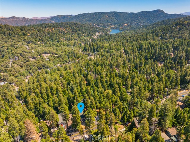 Detail Gallery Image 46 of 46 For 693 Ca 138, Crestline,  CA 92325 - 3 Beds | 2 Baths