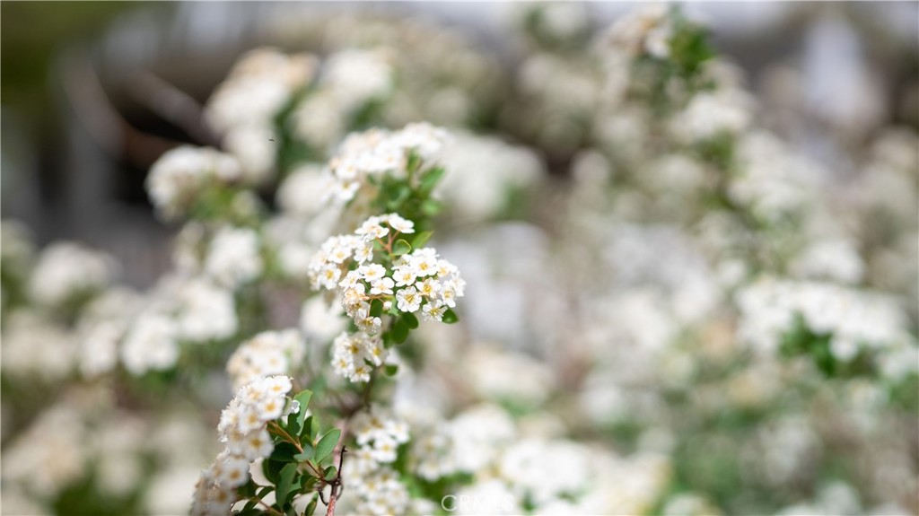 https://media.crmls.org/medias/e657efd0-6ba8-4c9e-89b7-6a14990f021b.jpg?preset=X-Large