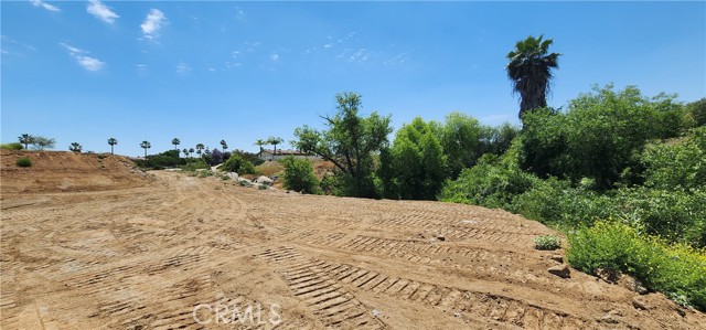 18396 Richard M Nixon Court, Riverside, California 92508, ,Land,For Sale,18396 Richard M Nixon Court,CRTR23124509