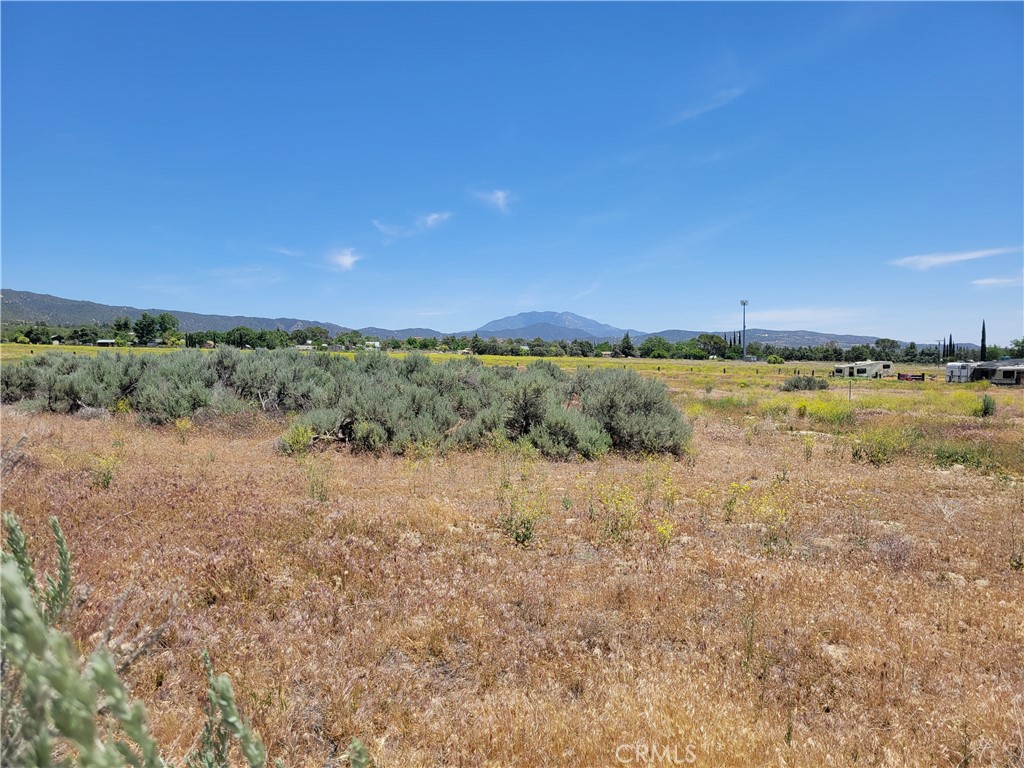 48 Bonita Vista