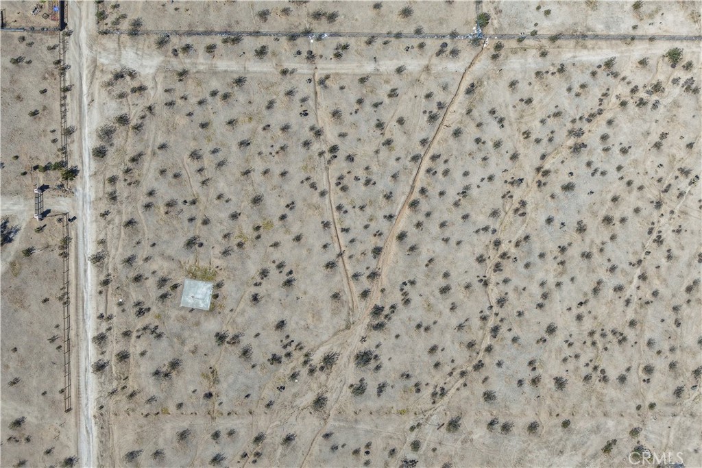 MLS #JT25246885 image #14