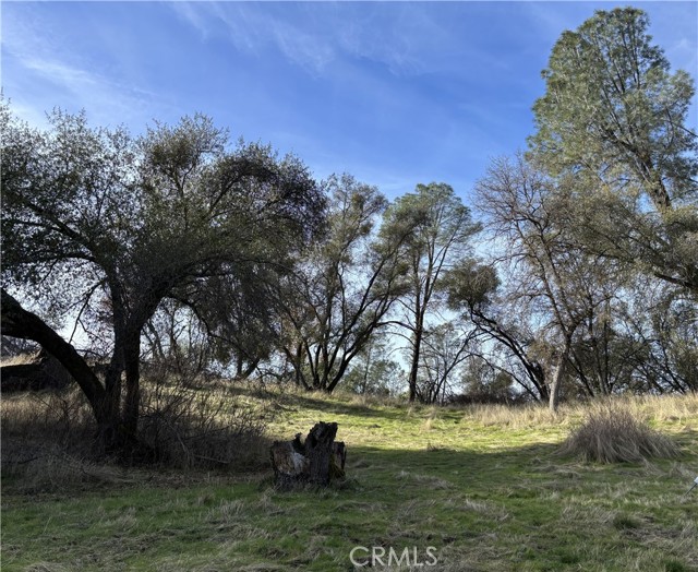 Detail Gallery Image 3 of 9 For 0 Daffodil Dr, Mariposa,  CA 95338 - – Beds | – Baths