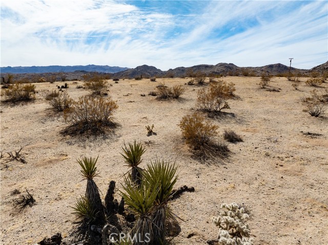 Detail Gallery Image 30 of 30 For 0 Avenida Del Sol, Joshua Tree,  CA 92252 - – Beds | – Baths