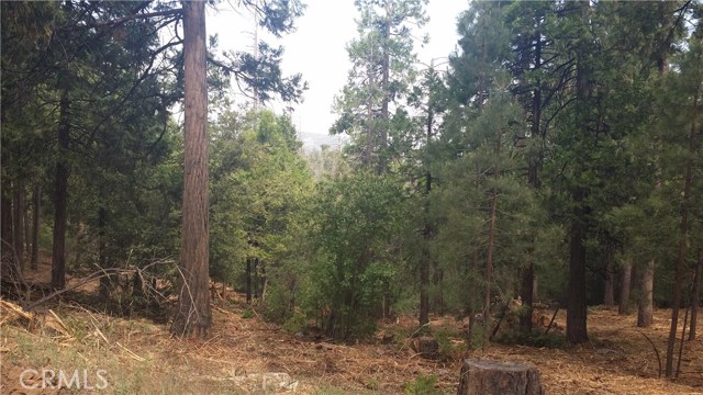 0 Solitude Lane, Shaver Lake, CA, 93664 0 Solitude Lane, Shaver Lake, CA, 93664