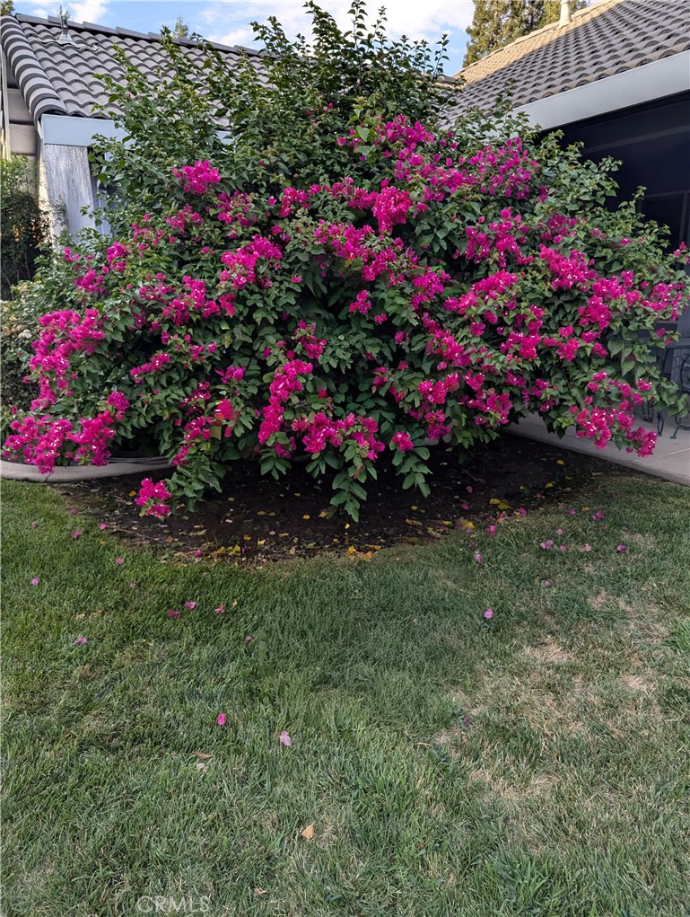 https://media.crmls.org/medias/e6699588-ad95-4bc2-88ee-5f853ca61fcc.jpg?preset=X-Large