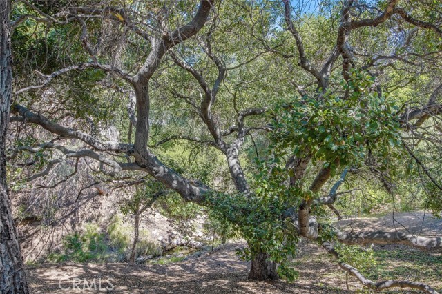 Detail Gallery Image 37 of 38 For 5682 Starwood Ct, Westlake Village,  CA 91362 - 3 Beds | 3 Baths